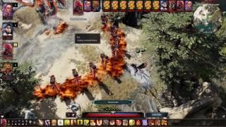 Divinity: Original Sin 2 - Новые классы: Призыватель и Метаморф (ранний доступ, трейлер)