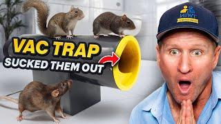 The DEADLIEST trapping battle- 18 mice, rats & squirrels sucked up !