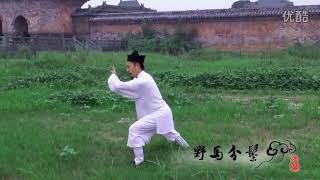 Wudang Tai Chi Quan 28