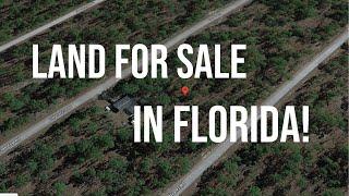 Florida Land for Sale | Affordable Land!