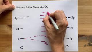 Molecular Orbital (MO) Diagram for O2(-)