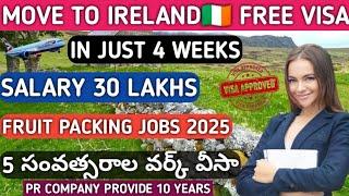 IRELAND 7 YEARS FREE WORK VISA TELUGU | JOBS IN IRELAND FOR INDIAN | IRELAND VISA SPONSORSHIP JOBS