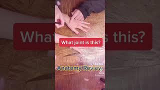 Pre-PA Anatomy Review