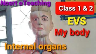 Class 1 & 2 EVS my body Internal organs #heart #lungs #stomach #mybodyparts #kvschool #ncert #cbse