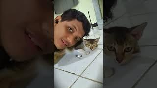Numpang Ngadem