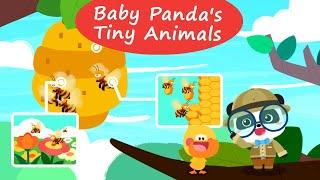 Baby Panda's Little Animal Kingdom - Discover the Secrets of Tiny Animals | BabyBus Games