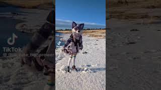 Why r his movements screaming queer #furry #furries #fursuit #tiktok #shorts