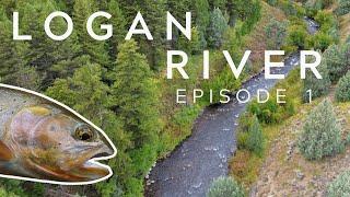 Rating Rivers Episode 1: The Logan River (Utah Fly Fishing)*2023*