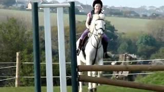 Poppy & Dessie (Claire Rushworth clinic) - 20.apr.2011