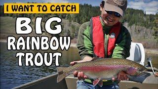 How to Catch Big Rainbow Trout from a Lake? | Fishing with Rod
