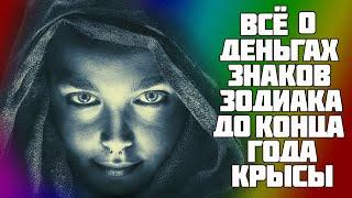 Звезды поведали о деньгах знаков Зодиака во второй половине 2020 года Крысы