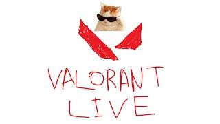 Valorant Chill Live | Will I Derank again?  RDR 2 Later !giveaway !commands