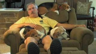 The LAZY Beagle Chair