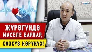 Жүрөк кан-тамыр илдеттери күнүнө 50 дөн ашык өмүрдү алууда