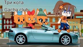 Три кота в Gacha club! Попала в мир три кота ЧИТАЙТЕ ОПИСАНИЕ