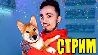 НОВОЙ РУБРИКИ БОЛЬШЕ НЕ БУДЕТ! СТРИМ ЭДИСОН