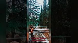 Beautiful Tbilisi, Georgia - Funicular Railway , Mtatsminda Park  #shorts #tbilisi #georgia #trends