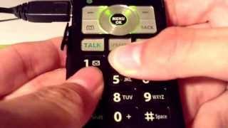 Cell Phone of Time: How to call Guru-Guru (Song of Storms)