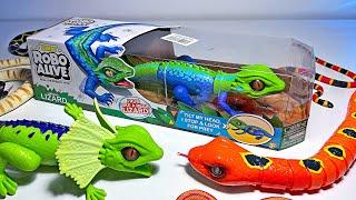 Lizards, Snakes, Turtles Collection - Cobra, Frill Necked Lizard, Coral Snake, Leatherback Turtle