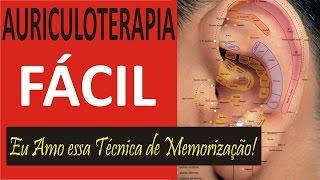 A Melhor Maneira para Decorar os Pontos da Auriculoterapia [Acupuntura Auricular]