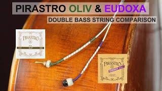 Pirastro Eudoxa and Oliv - Gut Double Bass Strings - Comparison