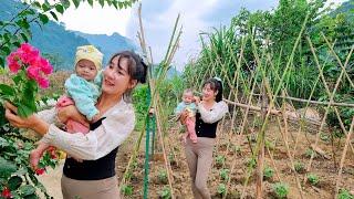 Single Mom - Making a trellis for the bean garden on the farm | Farm life