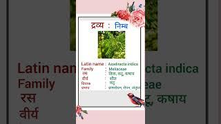 NEEM..AZADIRACTA INDICA..#dravyaguna #dravya #aiapget2025 #secondyear #bams #pharmacology#viralshort