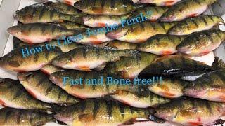 How to Fillet / Clean Jumbo Yellow Perch Fast and Bone free!!