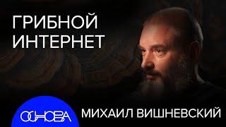 МИКОЛОГ ВИШНЕВСКИЙ: ГРИБНОЙ РАЗУМ, ГРИБЫ-УБИЙЦЫ, THE LAST of US. ЛЕНИН - ГРИБ?