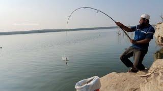 BIG SIze Rohufishes fishing|Fisher Man Catching in single hook|amazing fishing video in Rohufishes