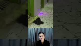 GABUT GANGGUIN TETANGGA KOSAN  #shorts #trending #shortvideo #ilhamrc