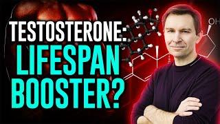 The Lifespan Link: Does Testosterone Extend Life? Dr. David Sinclair Explains!