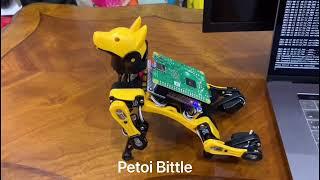 Build Your Own Alexa-Controlled Robot Dog with Raspberry Pi | PetoiCamp