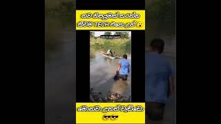 ඇත්තටම මෙක මොකක්ද බන්  #youtubeshorts #shorts #viralsong #viralshort #trendingshorts #trand #funny