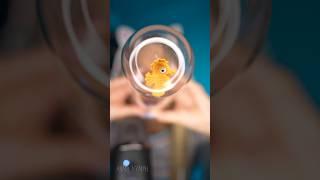 ASMR Fishbowl effect 🫧