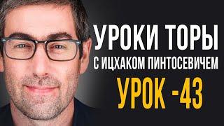 ️Уроки Торы - Занятие 43. (Уроки Торы На Подоле с Ицхаком Пинтосевичем)