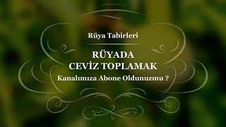 Rüyada Ceviz Toplamak Tabiri ve Yorumu | Rüya Tabiri