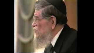 Telz Cleveland 1991 Rav Mordechai Gifter zt'l