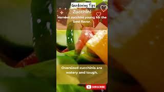 Gardening Tips for Beginners  #garden #gardening #homestead