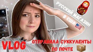 VLOG : Собираю посылку | Русский магазин в США | Распаковка и примерка одежды из UNIQLO