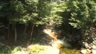 NH ALIVE: Flume Gorge Franconia Notch