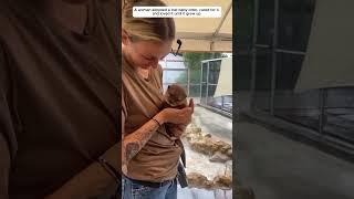 A little otter lost his mother and was adopted and loved by a girl.