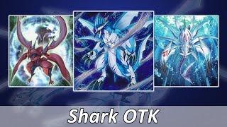 YGOPRO - Shark OTK