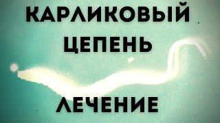 Способы и процесс лечения гименолепидоза. Выпуск 88.