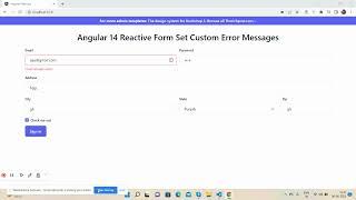 Angular Reactive Form Set Custom Error Messages Working Demo