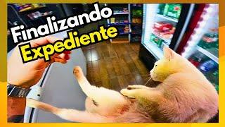 POV Distribuidora de Bebidas - Atendendo Clientes, fazendo lanche e vivendo a rotina