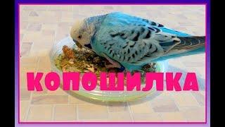 Копошилка - мини копошилка!