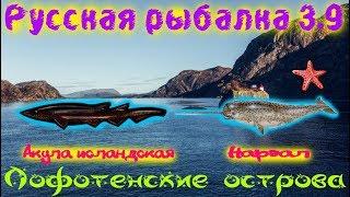 Русская рыбалка 3.9. Лофотенские острова. Акула исландская. Нарвал.