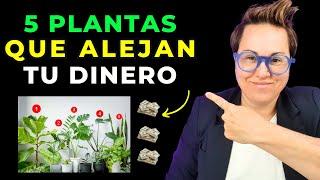 Cámbialo de inmediato!! 9 plantas en tu casa Hogarque te alejan del dinero