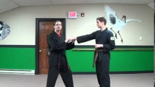 Tigon Martial Arts White Crane Blocking